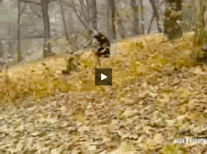 Die Klage der Kaiserin aka The Complaint of an Empress (1990)