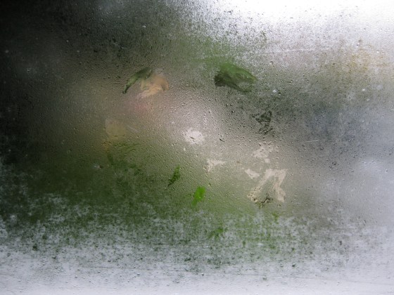 bee trace in condensation