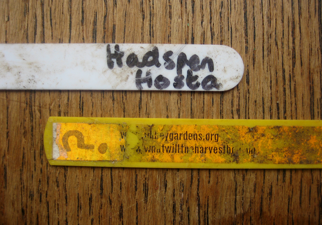 Plant labels for lost plants