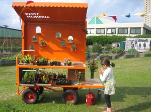 Honesty Stall at Abbey Gardens