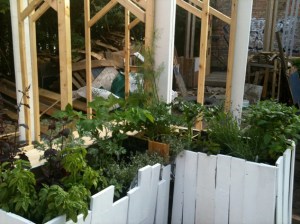 planters planting planters being filled