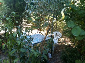 table in il palmento garden