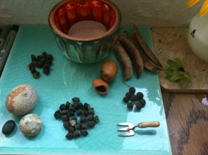 table seeds collection