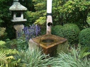 Japanese Garden at Kew water