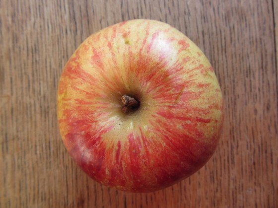 Apple from The Haven 1