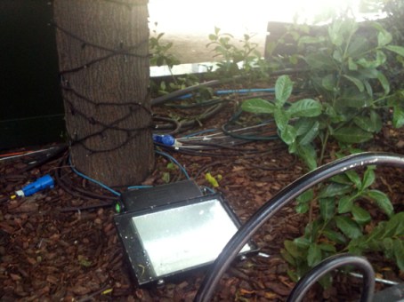 Electric lights in foliage