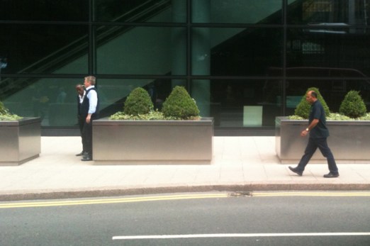 smokers and box hedges