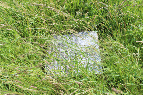 Memorial stone and grass