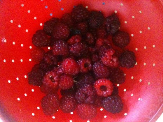 Red Raspberries in Red Colander