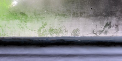 Bee moves in condensation