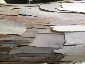 Baitogogo layers of wood