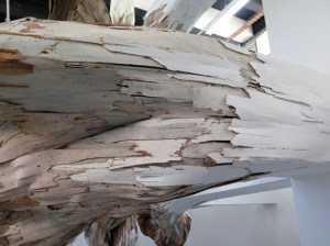 Baitogogo root splitting