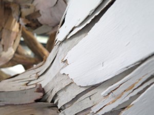 Baitogogo white + wood CU