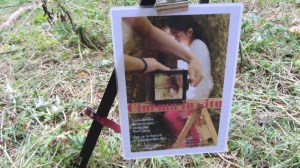 Shuffle flickerscopes sign