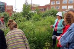 Perimeter Permabulations with Helen Stratford
