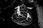 Bipeds Monitor Arbonauts