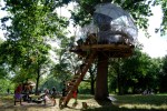 The Treehouse Gallery