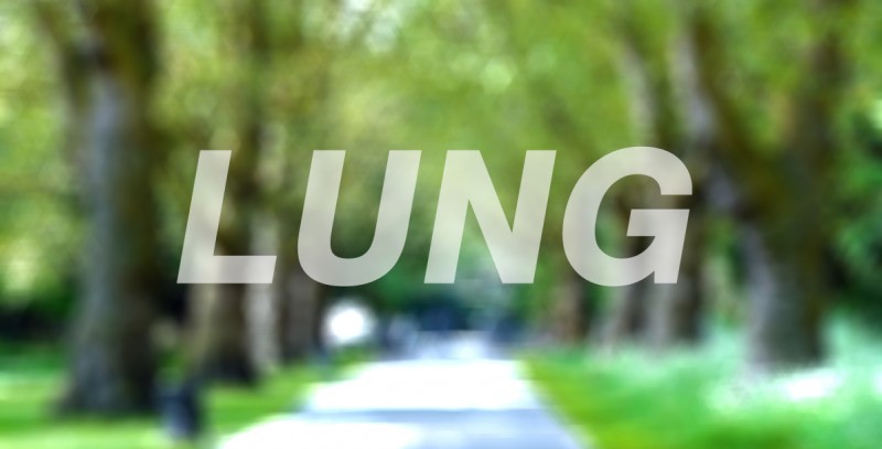 LUNG-V4-800x407