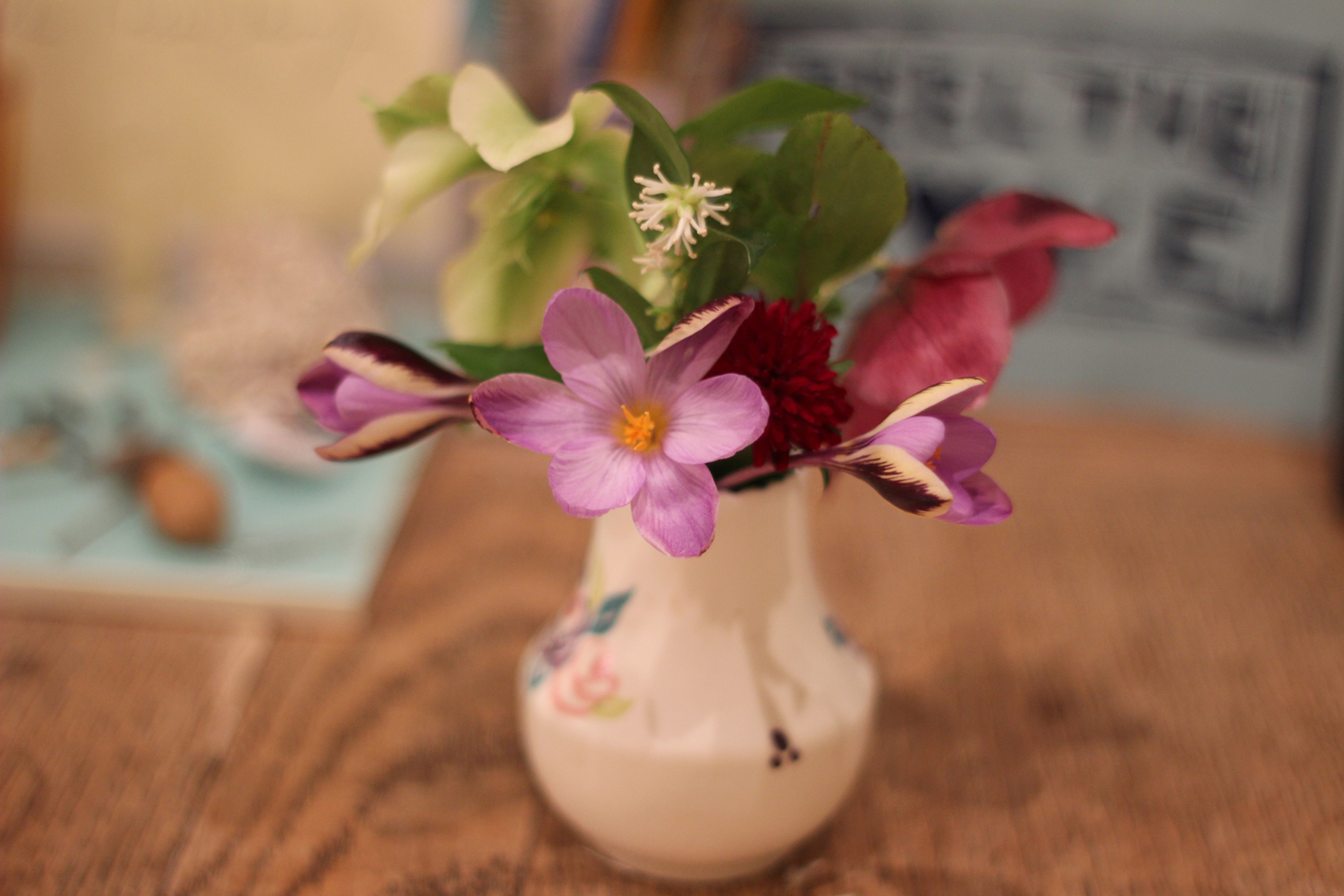 Imbolc Flowers 1 2016