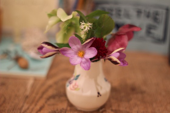 Imbolc Flowers 1 2016