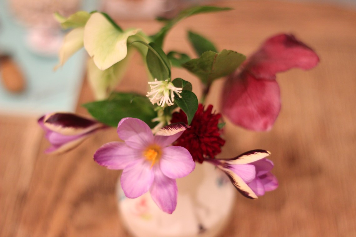 Imbolc flowers 2 2016