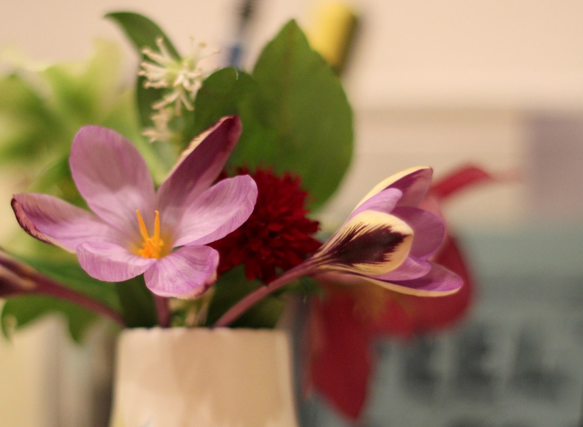 Imbolc Flowers 3 2016