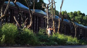 Impossible Forest watering 3