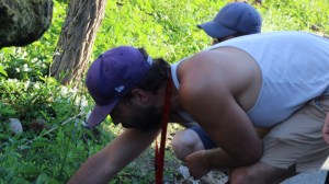 Impossible Forest weeding