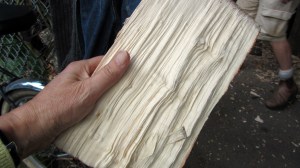 chopped-wood-ready-for-spatula