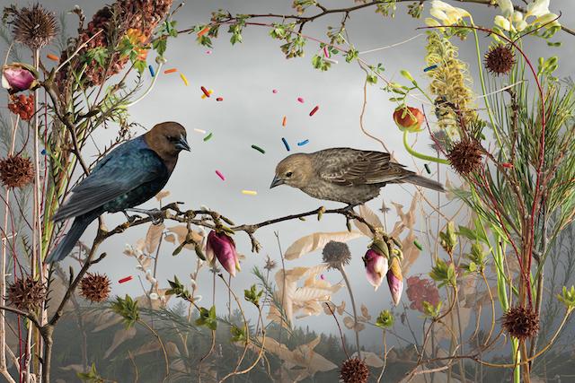 b5f42104cb5fce292809abcb9deb4da5